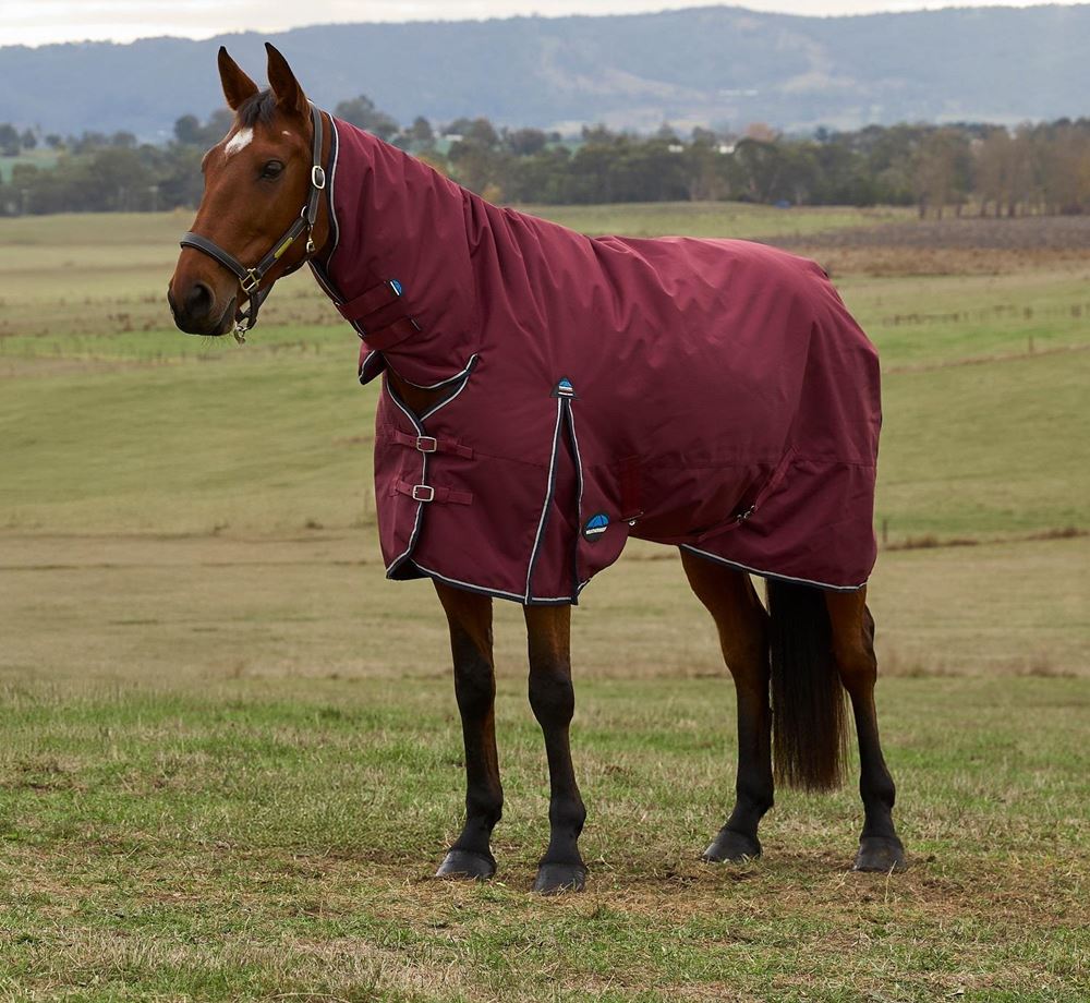 Weatherbeeta Comfitec Prelim Turnout Combo - 220g (Burgundy/Navy)