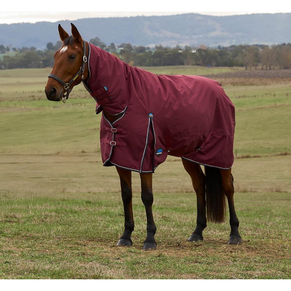 Weatherbeeta Comfitec Prelim Turnout Combo - 220g (Burgundy/Navy)