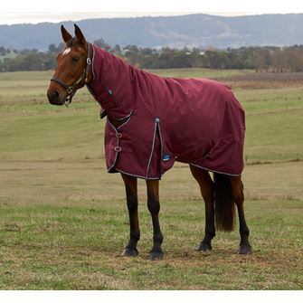 Weatherbeeta Comfitec Prelim Turnout Combo - 220g (Burgundy/Navy)