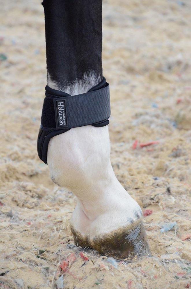 Hy Equestrian Armoured Guard Pro Protect Compliant Fetlock Boots