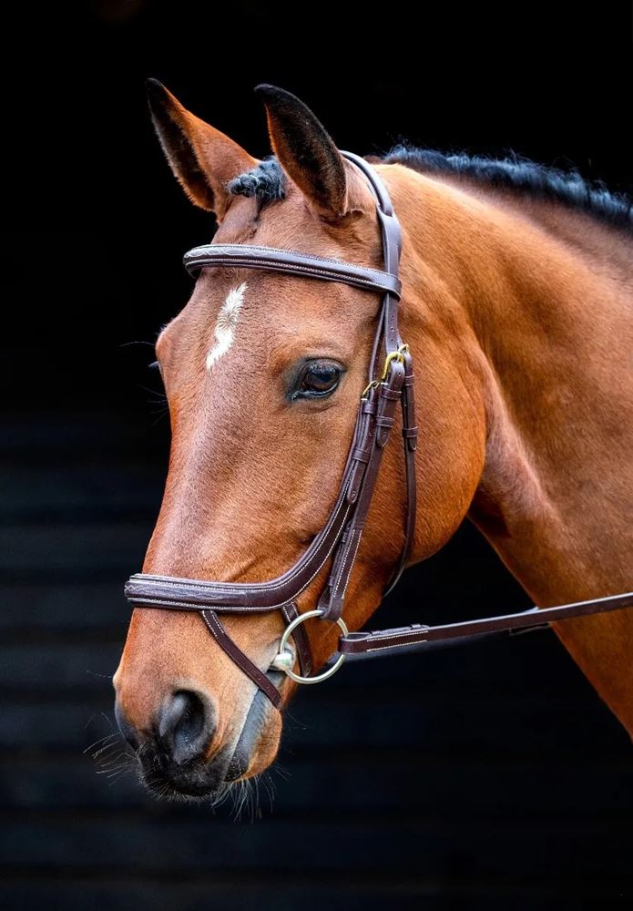 Shires Salisbury Buckingham Bridle (Australian Nut)