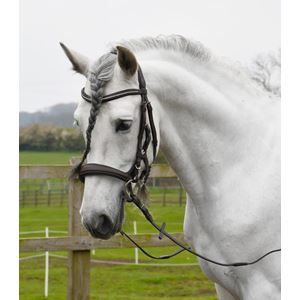 Rhinegold Luxe Anatomical Leather Cavesson Bridle (Black)