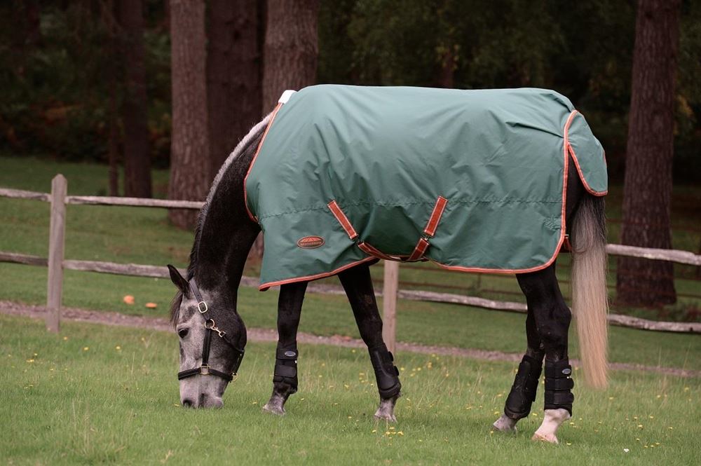 WeatherBeeta ComFiTec Tyro Standard Neck Medium Turnout Rug (Green/Burnt Orange/White)