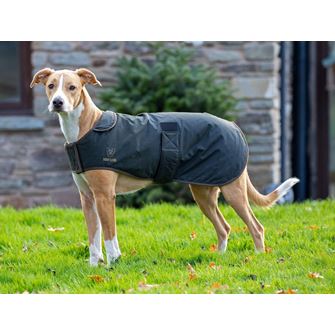 Shires Digby & Fox Wax Dog Coat (L - XXL)