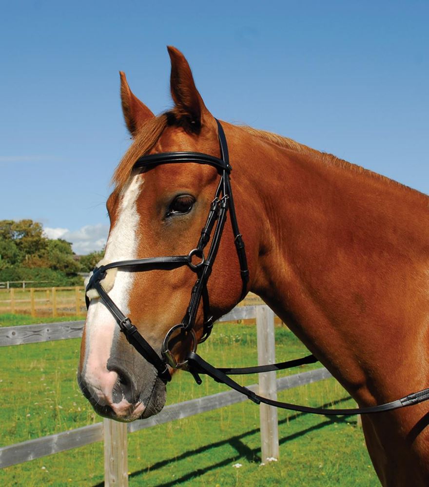 Heritage Saddlery English Leather Bridle with Mexican Noseband