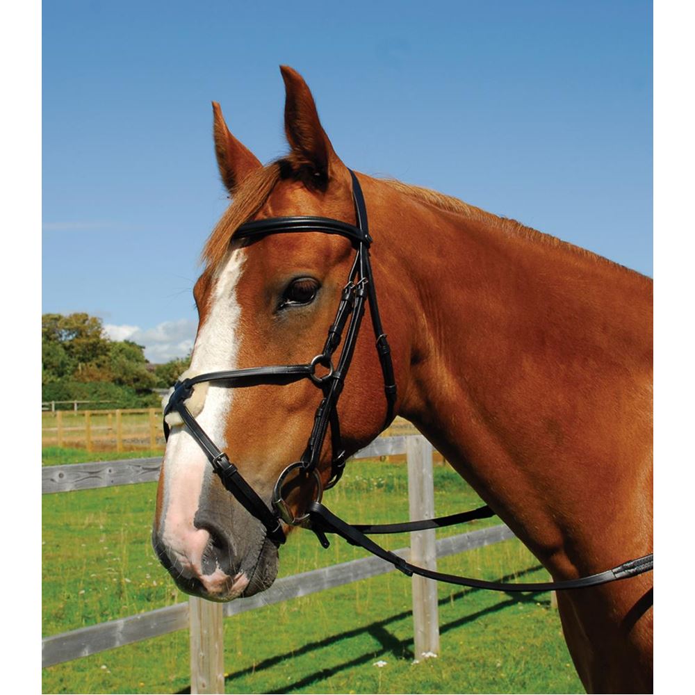 Heritage Saddlery English Leather Bridle with Mexican Noseband
