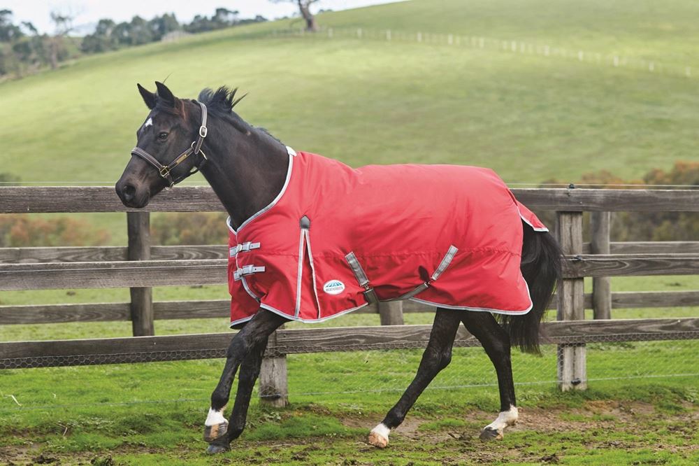 Weatherbeeta ComFiTec Classic Standard Neck Lite