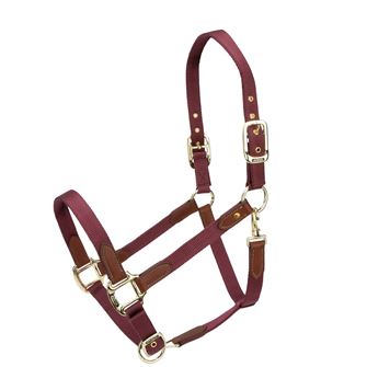 Shires Arma Porto Headcollar (Black Cherry)