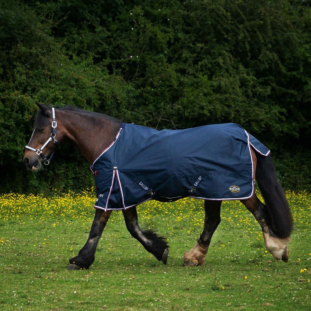 Gallop Trojan DURAPROOF 50 Turnout Rug (Navy/Burgundy)