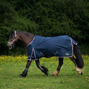 Gallop Trojan DURAPROOF 50 Turnout Rug (Navy/Burgundy)