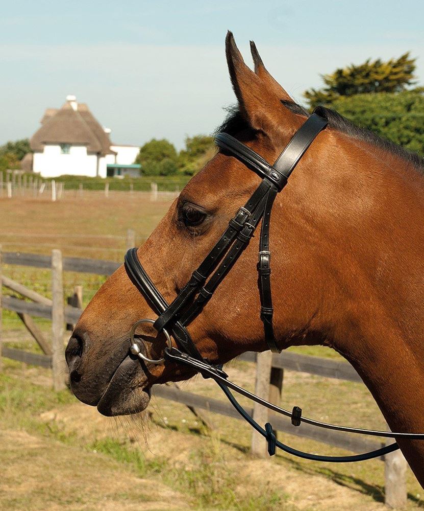 Heritage Saddlery English Leather Bridle with Raised Cavesson Noseband