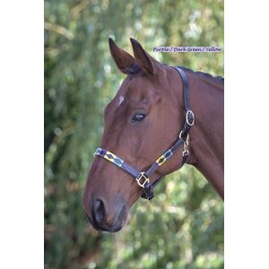 Shires Blenheim Leather Polo Headcollar