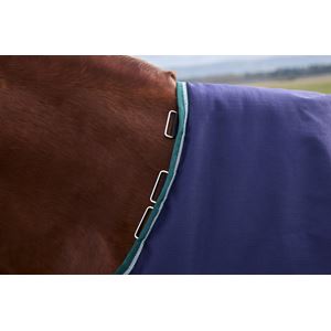 Weatherbeeta Comfitec Plus Dynamic Turnout Standard - 220g (Navy/Forest Green)
