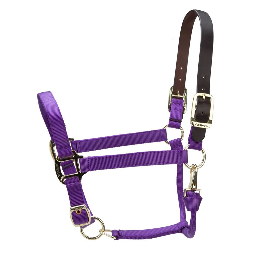 Shires ARMA Premium Adjustable FieldSafe Headcollar (Purple)