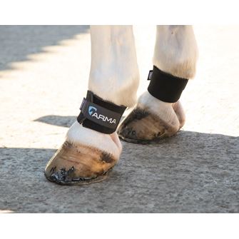 Shires ARMA Pastern Wraps