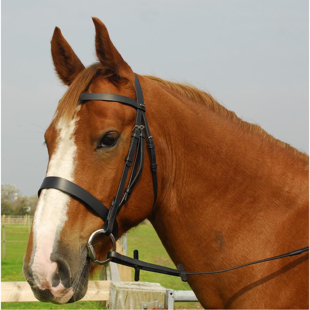 Heritage Saddlery English Leather Hunter Bridle with Wide Cavesson Noseband