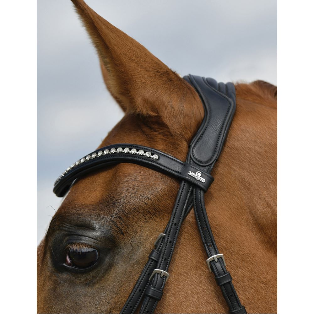 Weatherbeeta Collegiate Comfitec Opulux Padded Dressage Bridle (Black)