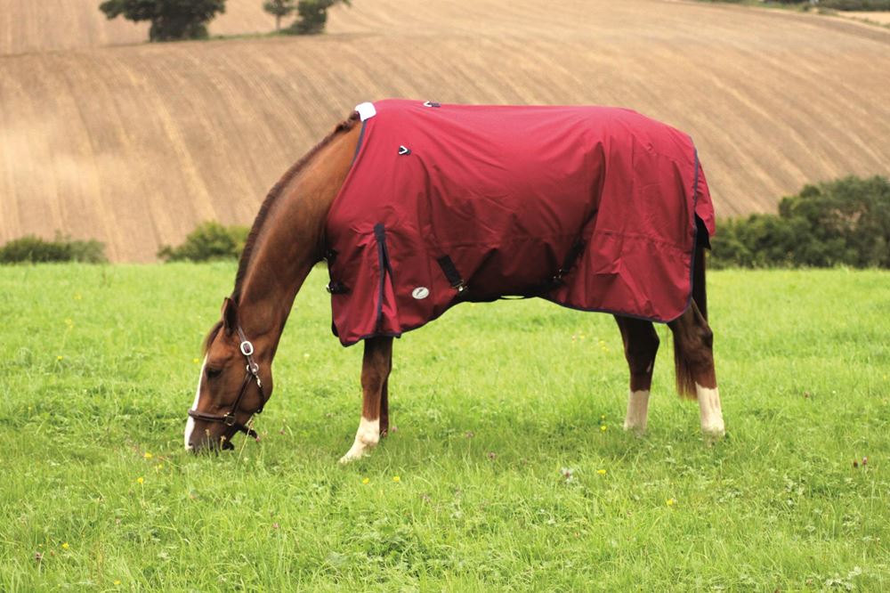 JHL Essential LW Plus Turnout Rug