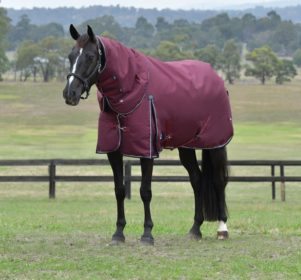 Weatherbeeta Comfitec Essential Turnout Detach-A-Neck - 50g (Burgundy/Navy)
