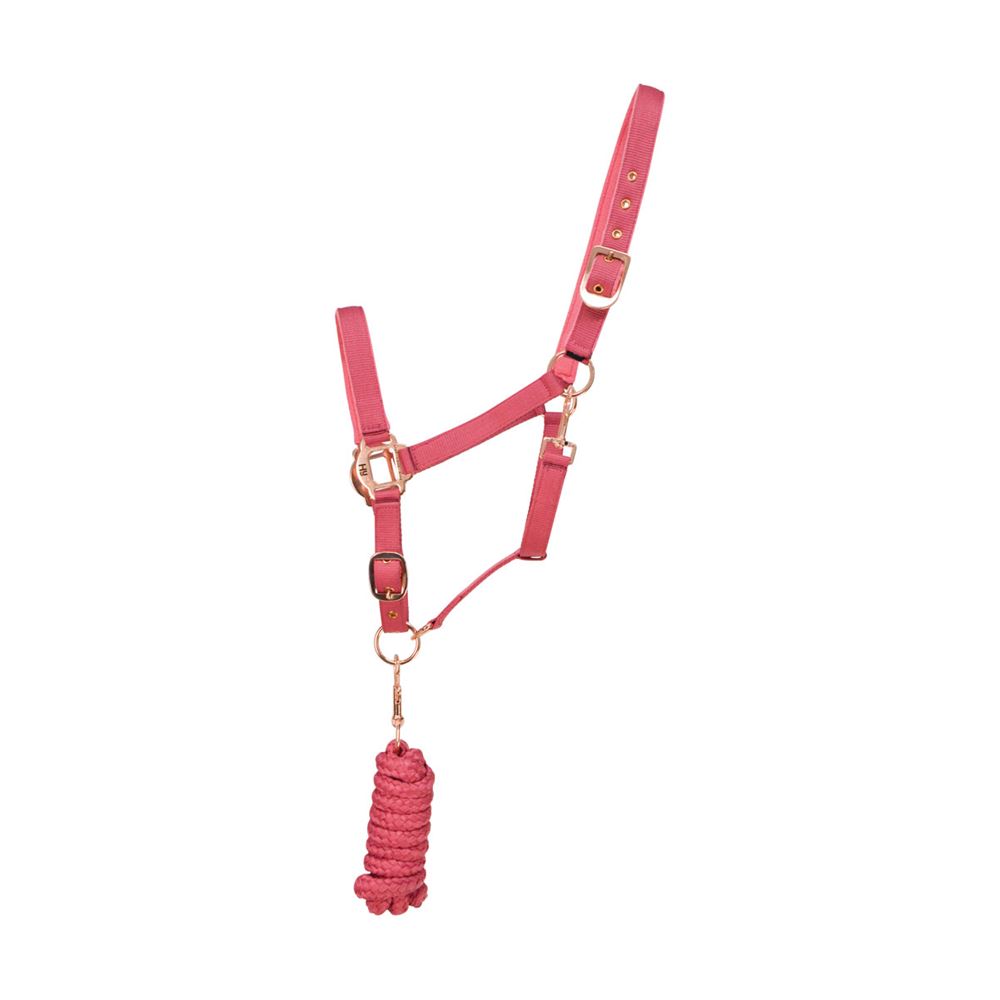 Hy Rose Gold Headcollar and Lead Rope