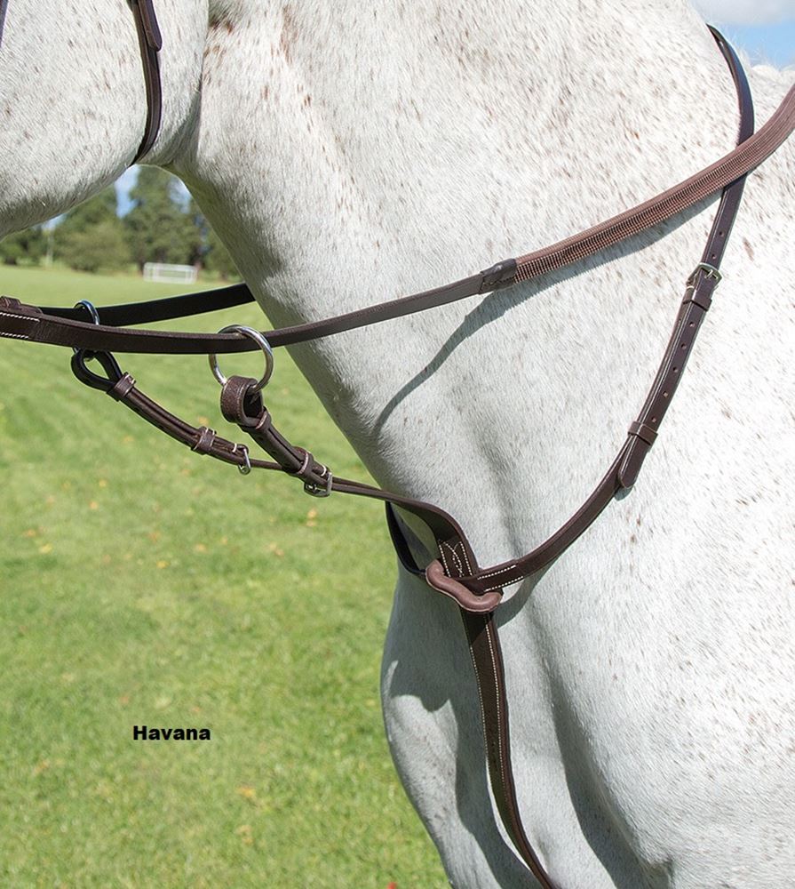 Shires Avignon Running Martingale