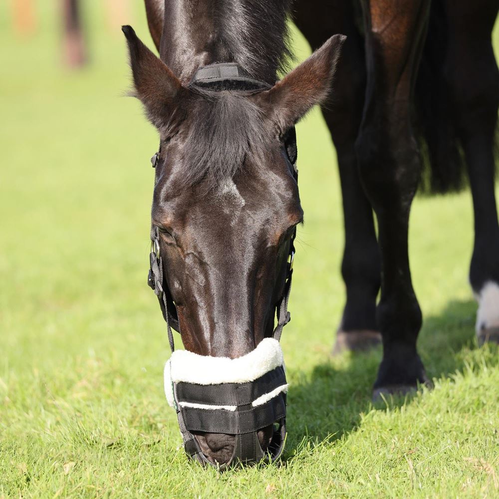 Shires FreeGraze AirFlow Grazing Muzzle