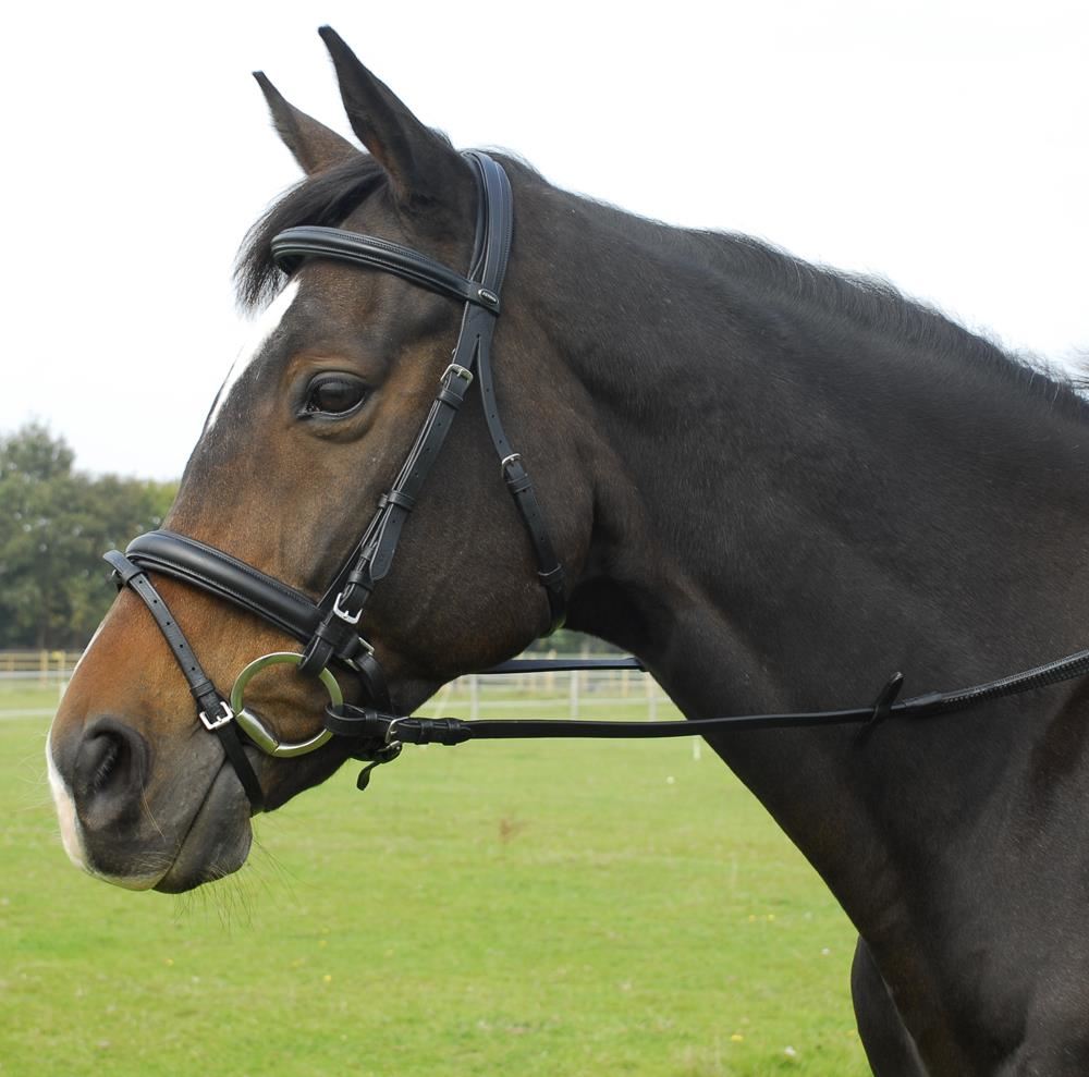 Heritage Saddlery English Leather Comfort Bridle with Flash Noseband