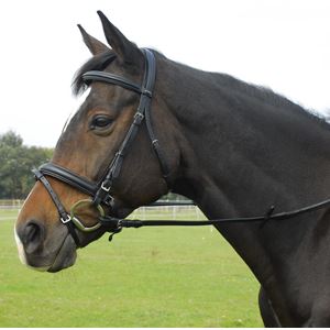 Heritage Saddlery English Leather Comfort Bridle with Flash Noseband
