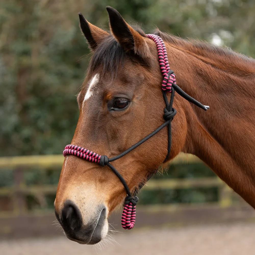Hy Equestrian Double Braid Rope Halter (Pink)