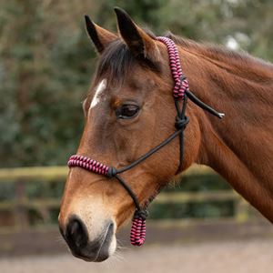 Hy Equestrian Double Braid Rope Halter (Pink)