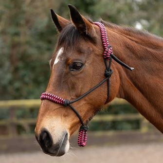Hy Equestrian Double Braid Rope Halter (Pink)