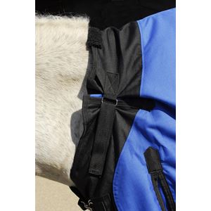 Rhinegold Phoenix Outdoor Rug - 50g (Royal Blue)