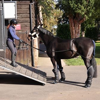 Shires Arma Loading Aid