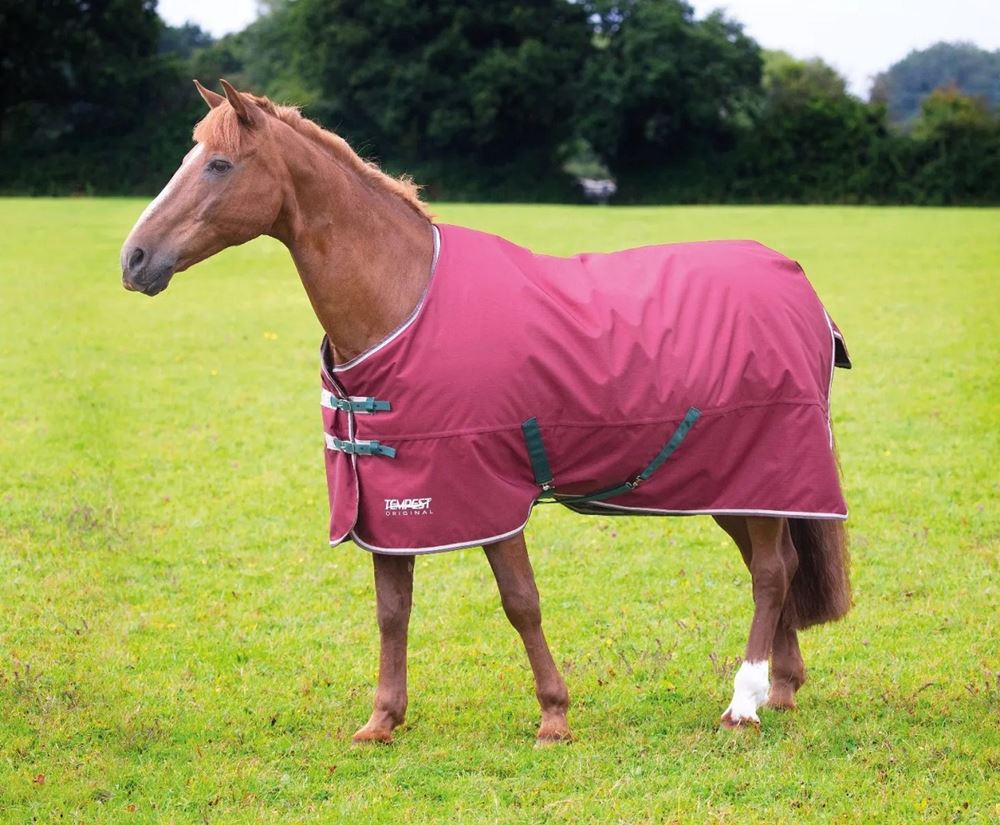 Shires Tempest Original 200 Turnout Rug (Maroon)