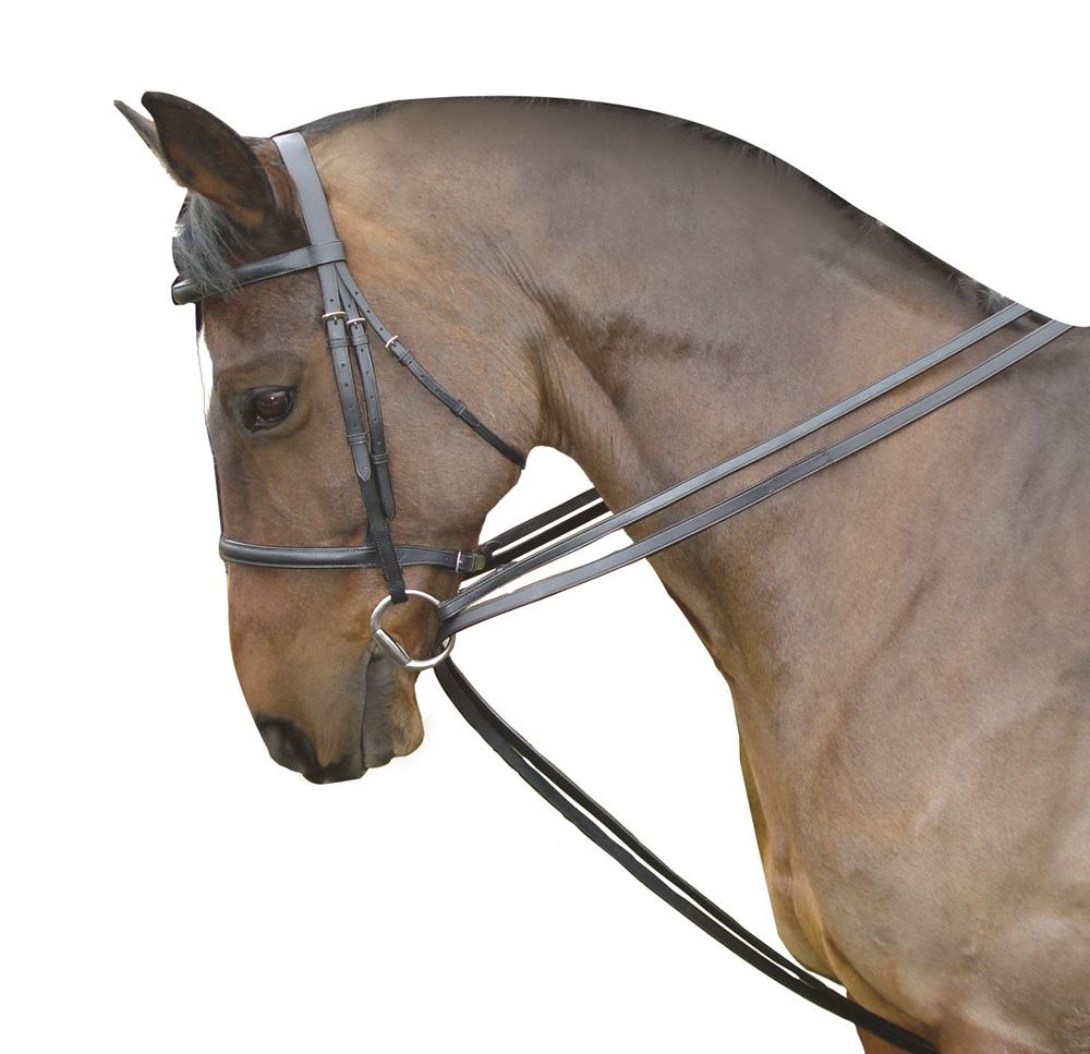 Kincade Leather Draw Reins