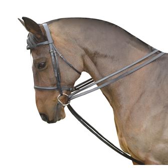 Kincade Leather Draw Reins