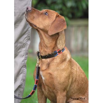 Shires Digby & Fox Drover Polo Dog Collar (XXXS - S)