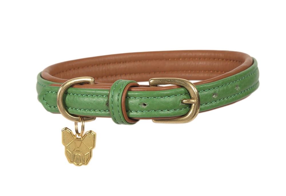 Shires Digby & Fox Padded Leather Dog Collar XL - XXL