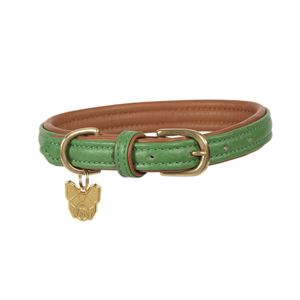 Shires Digby & Fox Padded Leather Dog Collar XL - XXL