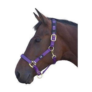 Hy Deluxe Padded Head Collar