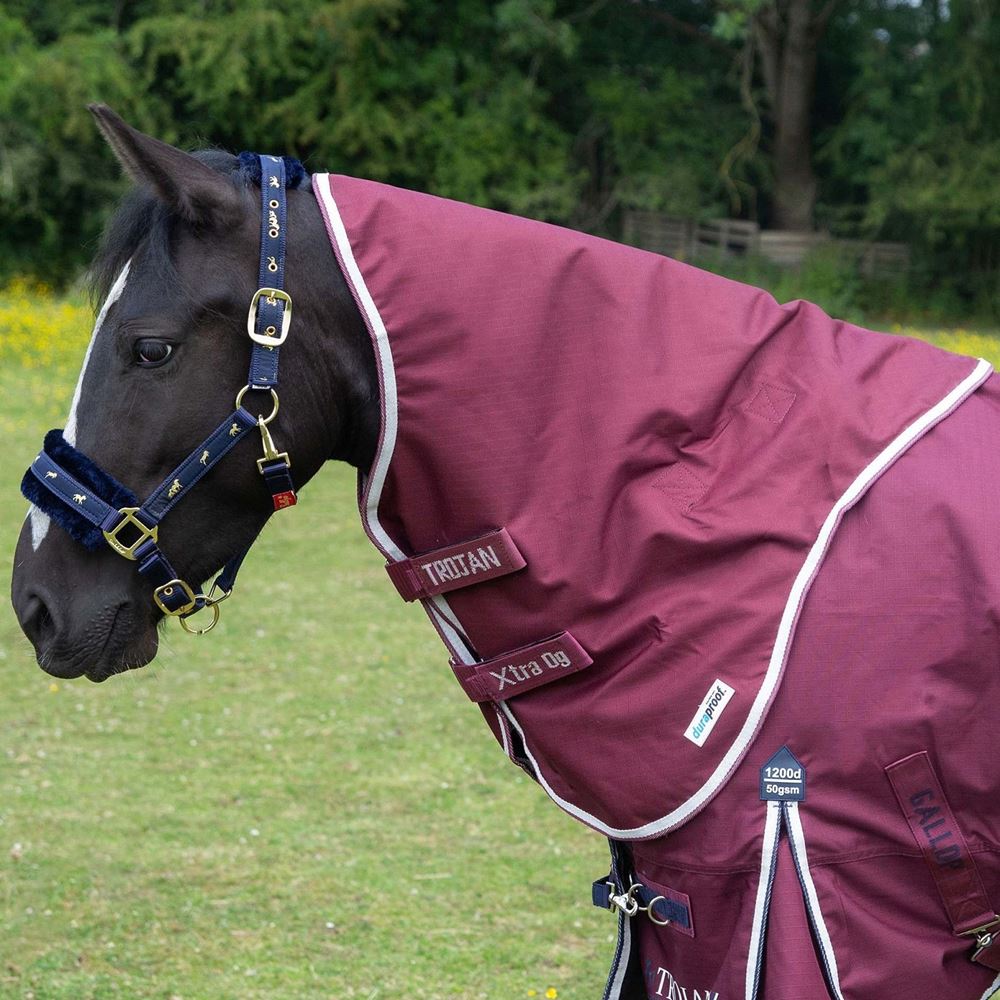 Gallop Trojan Xtra DURAPROOF 5 Point Lightweight Neck Cover (Burgundy/White)