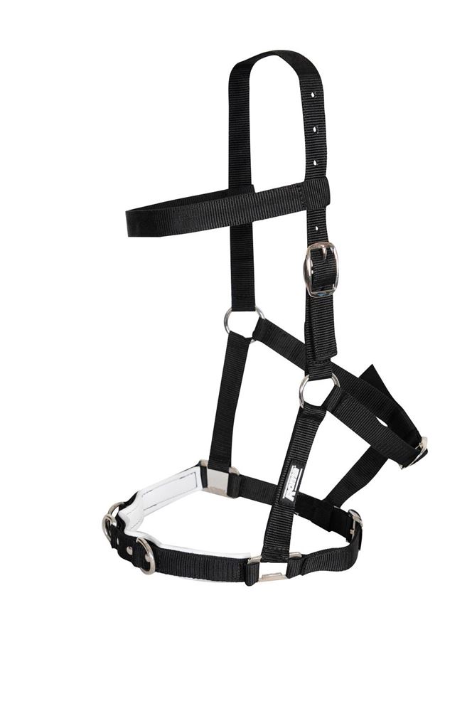 Kincade Nylon Padded Lunge Cavesson