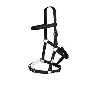 Kincade Nylon Padded Lunge Cavesson