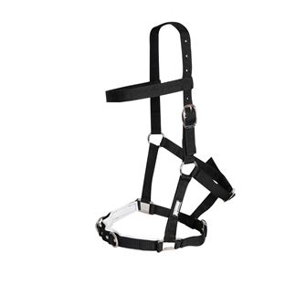 Kincade Nylon Padded Lunge Cavesson