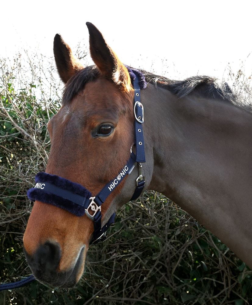 HYCONIC by Hy Equestrian Faux Fur Head Collar & Lead Rope (Navy)