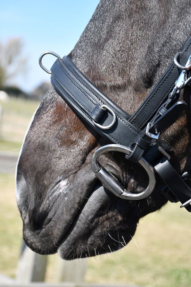 Rhinegold Leather Lunge Cavesson With Detachable Bit Attachment