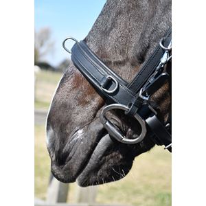 Rhinegold Leather Lunge Cavesson With Detachable Bit Attachment