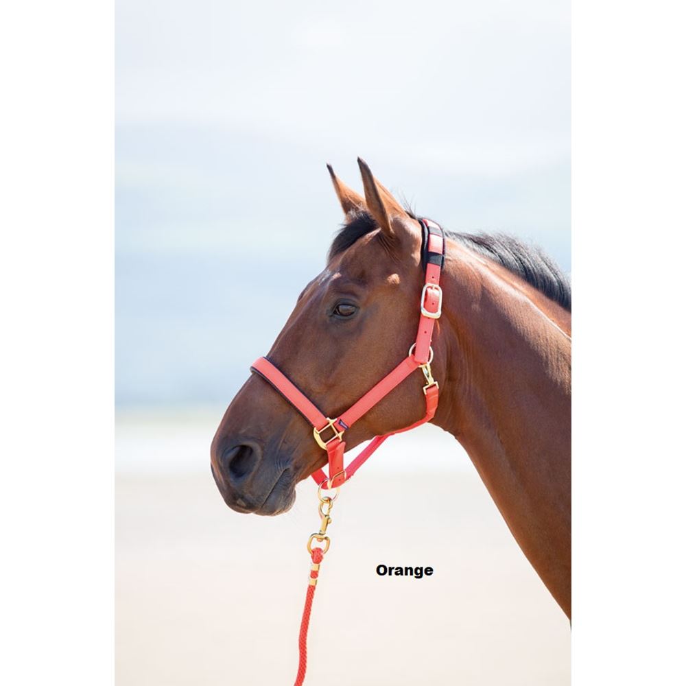 Shires Topaz Nylon Headcollar