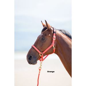 Shires Topaz Nylon Headcollar