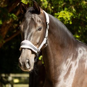 ProReaction Dura Fleece Head Collar by Hy Equestrian (Grey)